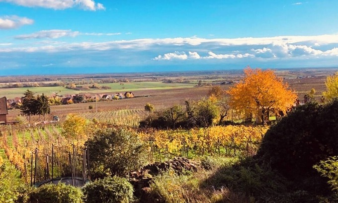 Gueberschwihr Apartamento | Gîte Origin route des vins d'Alsace