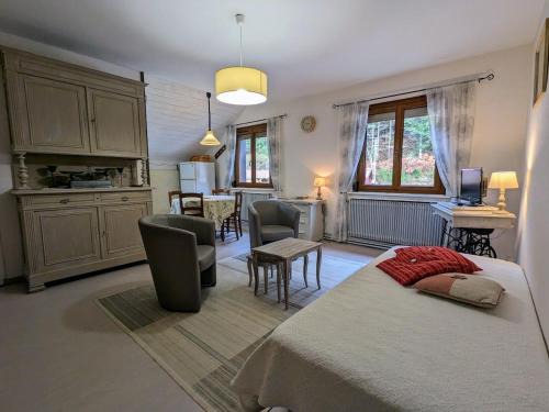 Le Syndicat Apartamento | Gîte rénové avec randonnées et ski à proximité, à 6 km de Remiremont - FR-1-589-151