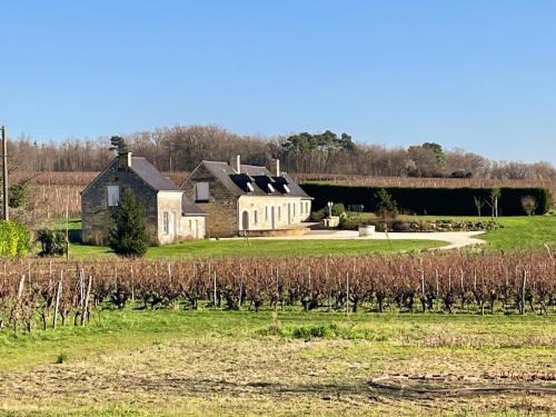 Benais Casa | Gîte viticole tout inclus, jardin 3000m², vélos offerts, proche Saumur-Chinon-Langeais - FR-1-381-606
