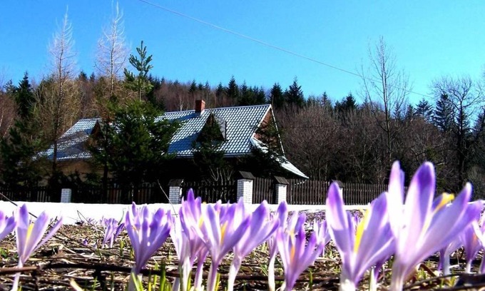 Stryszawa Casa | Góralska Czarcia Chata pod Jałowcem