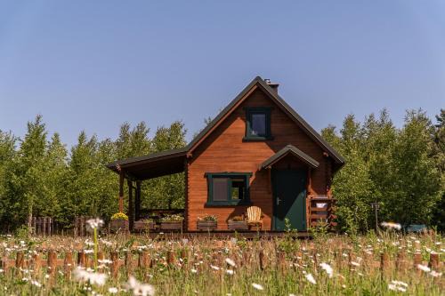 gmina Osiek Casa | Głuszecki las