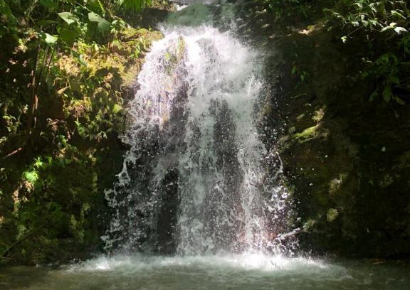 Surubres Casa | G.nature preserve