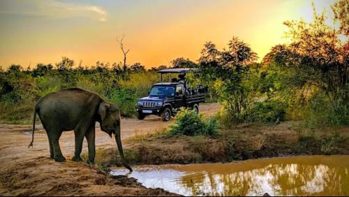 Udawalawa Casa | Gajaa Corido Safari Homestay