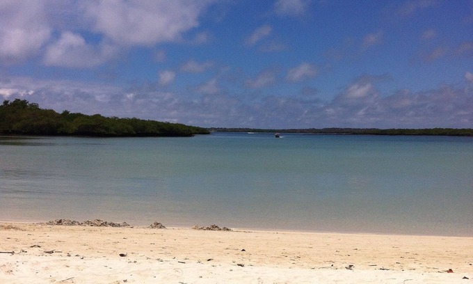 Bahía de la Academia Casa | Galapagos Chalet