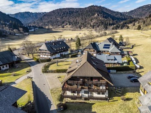 Menzenschwand-Hinterdorf Apartamento | Galeriewohnung in Menzenschwand