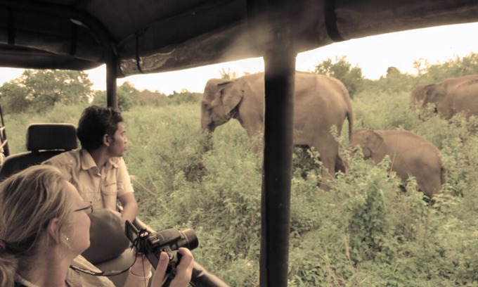 Udawalawa Alquiler De RV | Gamping in Style bordering Udawalawe National park