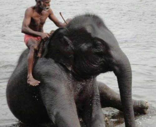 Thodakayam Casa | Ganesha Homestay