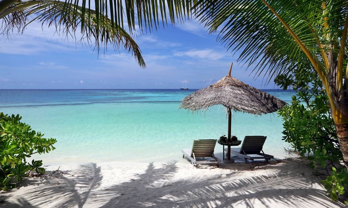 Gangehi Island Complejo | Gangehi Island Resort