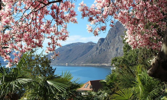 Castagnola Apartamento | GARDEN-apartment Castagnola-near lakeindoor-pool,aircondition,lakeview, with dog