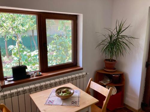 Tirgu Jiu Apartamento | Garden apartments in Targu-Jiu