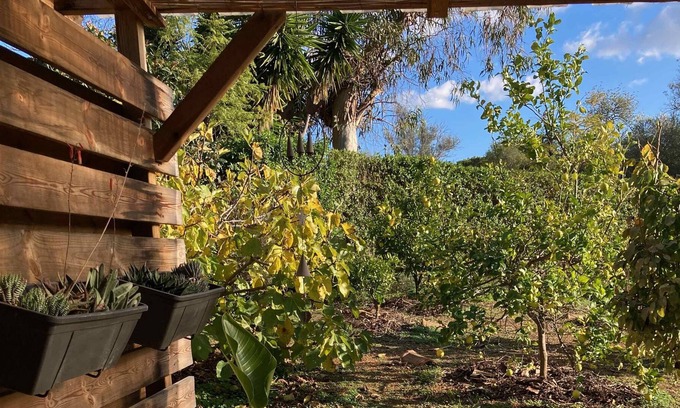 Olhao Cabaña | Garden House "Orchard Island"