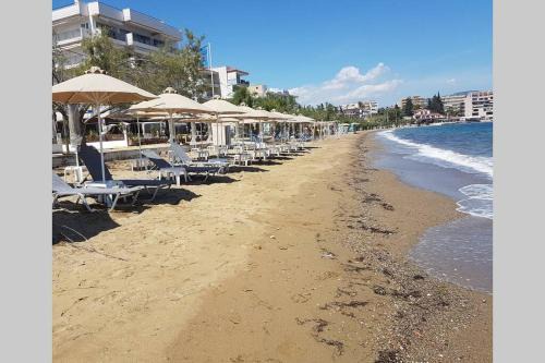 Lefkandi Apartamento | GARDEN LEFKANTI sea rooms & aparts