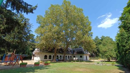 Balatonszemes Casa | Garden Szálláshely