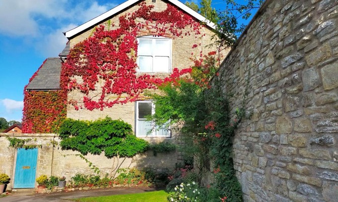 Kington Apartamento | Garden View