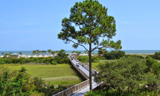 Palmetto Dunes Complejo | Garden View - 3 Bedroom - Marriott's SurfWatch - Full Resort Access