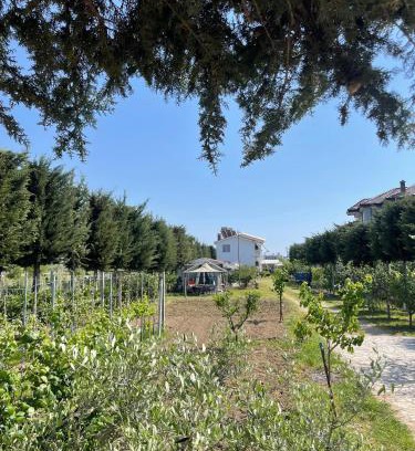 Sakës Casa | Garden Villa Sunny