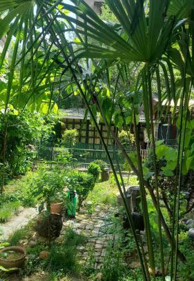 Vake Casa | Gardens in Vake, Tbilisi
