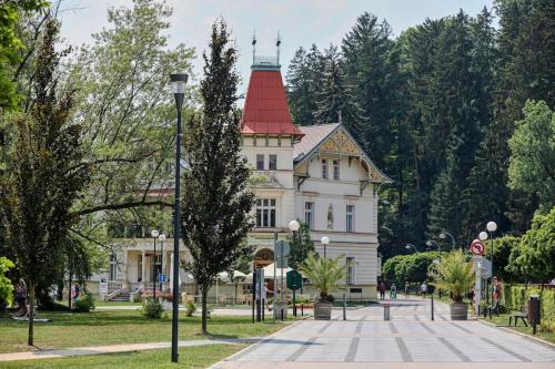 Luhacovice Apartamento | Garsonka - Luhačovice