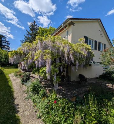 Goeppingen Casa | Gartenoase