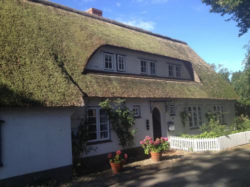 Nieblum Apartamento | Gartenwohnung