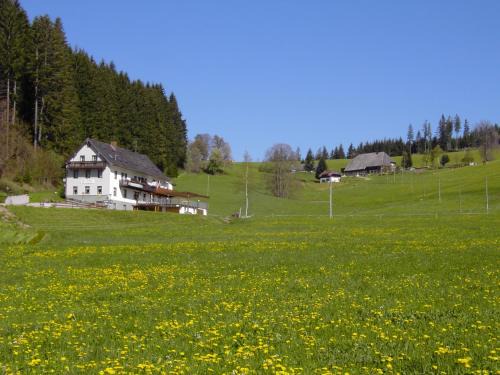 Schwarzenbach Casa | Gasthaus Pension Donishäusle