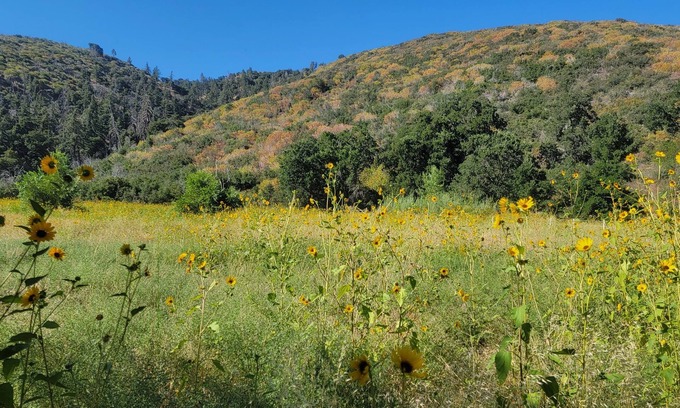 Lake Hughes Casa | Gather your party for an escape with amazing views, situated on 100+ acres.
