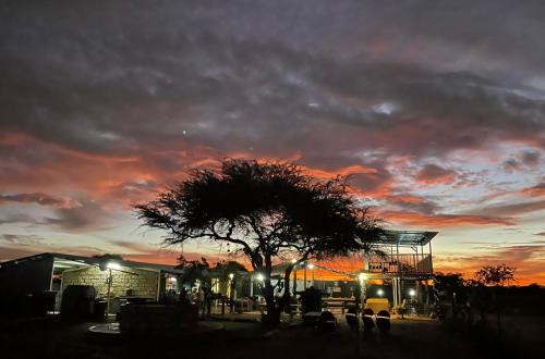 Joe Morolong Hotel | Gecko Accommodation
