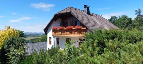 Holthausen Apartamento | Gemütliche Nichtraucherwohnung Direkt Am Wald
