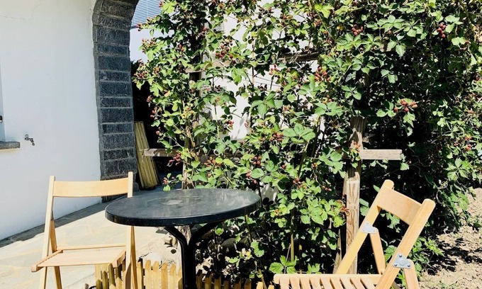 Schwarzach Apartamento | Gemütliche Wohnung mit See- und Bergblick nahe Bodensee