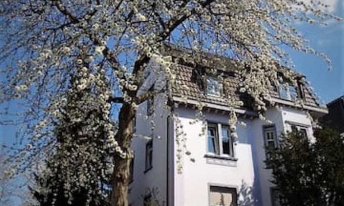 Hagen Apartamento | Gemütliche Wohnung mit Balkon am Waldrand