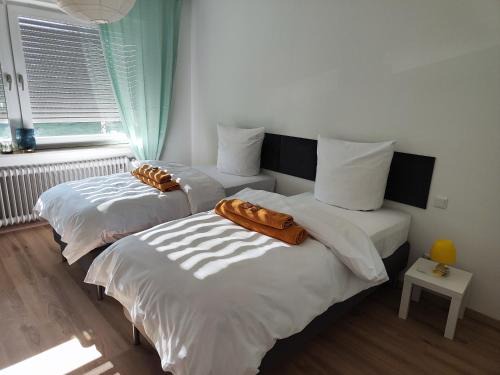 Kernstadt Apartamento | Gemütliche Wohnung mit großer Dachterrasse in sehr zentraler Lage