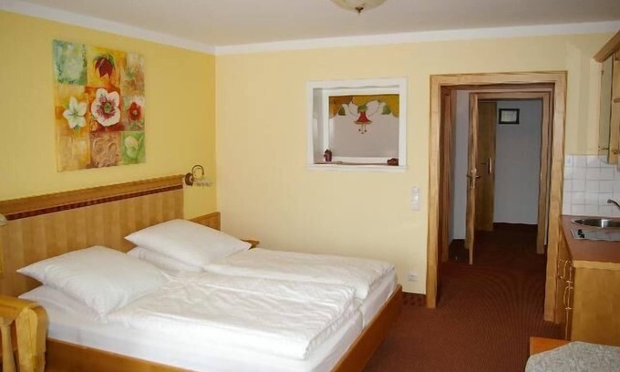 Rabenstein Apartamento | Acogedor apartamento con sala de estar y dormitorio combinados.