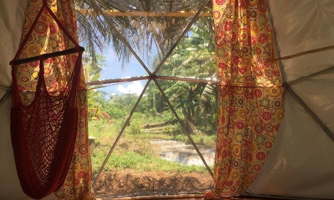 Lacanjá Cabina | Cúpulas Geodésicas En La Selva