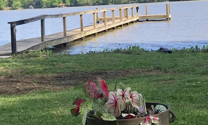 Rogersville Casa | Aléjese del ajetreo de la vida cotidiana con un hermoso retiro frente al río