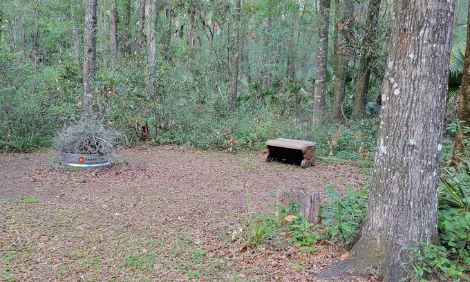 Old Town Alquiler De RV | Get away to a nice primitive campsite 1 mile from the swaunnee river.