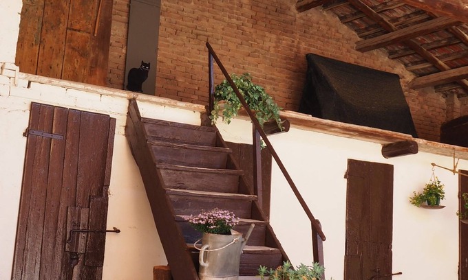Forli Cama Y Desayuno | Giardino 34