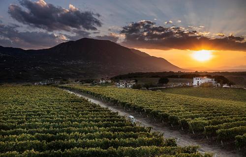 Ponte Cama Y Desayuno | Giardino Delle Oche - Ocone Taburno Wine County