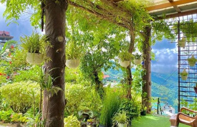 Aizawl Casa | Giftland Homestay
