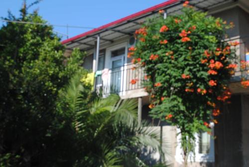 Mtsvane Kontskhi Casa | Giga Guest House