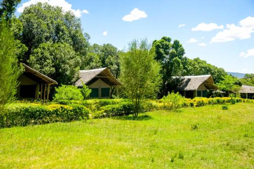 Maasai Mara Hotel | Giraffe Hills Mara Camp