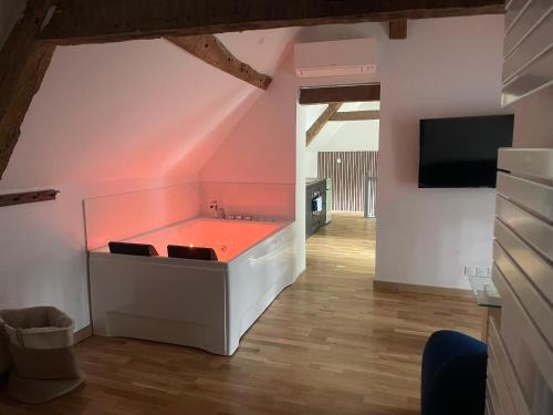 Lailly-en-Val Apartamento | Gite balnéo