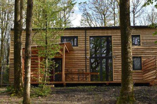 Philippeville Chalet De Esquí | Gite cocon dans la forêt
