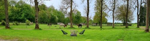 Formerie Casa | Gite Haras du Bois de Formerie
