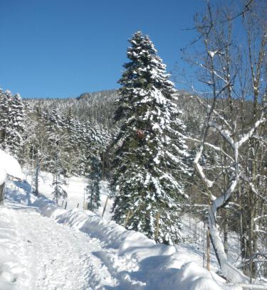 Metzeral Cama Y Desayuno | Gite IM-BERG