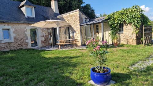 Blaison-Saint-Sulpice Casa | Gite La berlotte