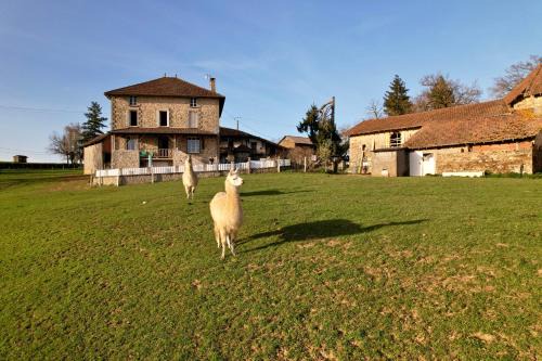 Quezac Casa | Gite Lamalpapoche
