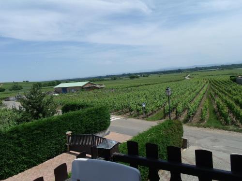 Bennwihr Apartamento | Gite "le vignoble " 2 pers coté vignes