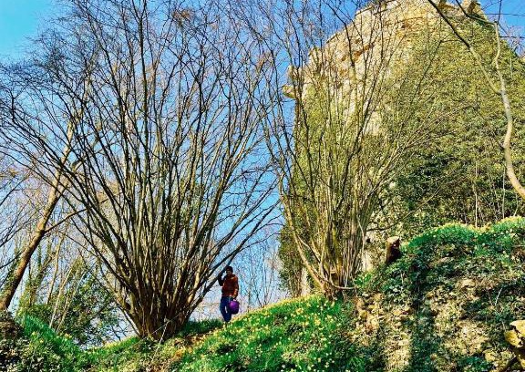 Tournebu Casa | Gite nadège à l Ombre d'une Tour