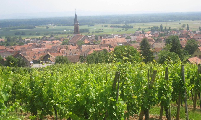 Kintzheim Casa | Casa rural en la ruta del vino en paz con hermosa vista del castillo de Kintzheim
