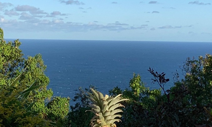 Grande Anse Cabaña | Gite Petite Île, 1 bedroom, 2 persons